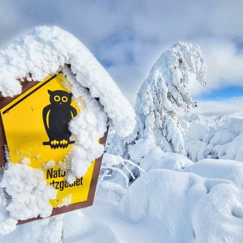 Luftmassengrenze mit teils unwetterartigem Schneefall - nachfolgend Winterwetter oder eine durchgreifende Milderung © Martin Bloch