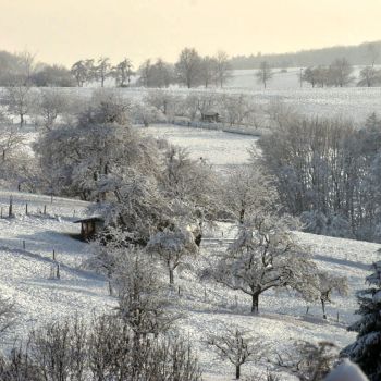 Weiße Weihnachten sind über dem Süden am wahrscheinlichsten