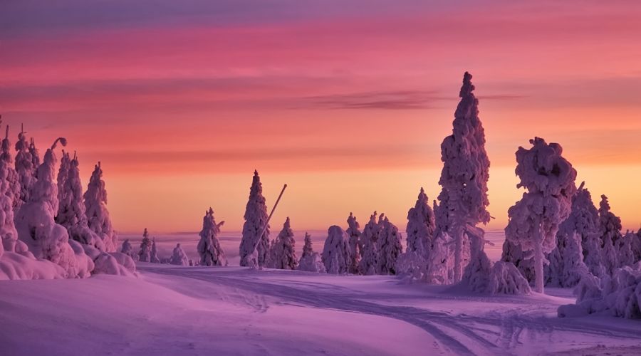 Ein QBO-Ost ist in diesem Winter zu erwarten - sorgt er für einen richtig kalten Winter? &Copy; Martin Bloch