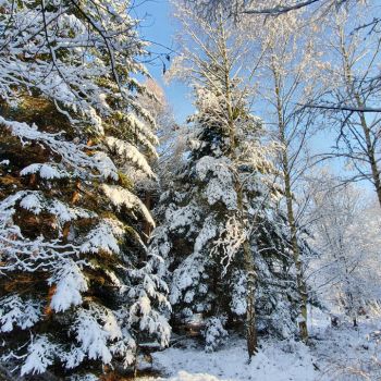 Wie lange hält sich der Winter über Deutschland?