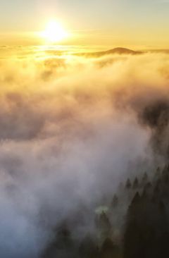 Wetter November 2022 - Daten und Fakten