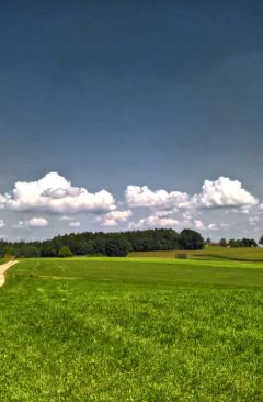 Wetter August 2020 - Daten und Fakten