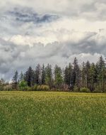 Ein markanter Wetterwechsel bahnt sich im Mai an