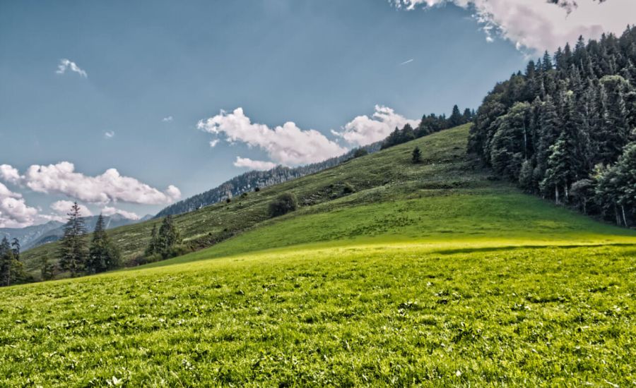 Zwischen einem Omegahoch und einem Skandinavientief - Wie entwickelt sich das Wetter im Sommer weiter?