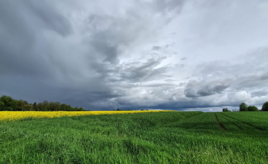 Regen- statt Sommerwetter