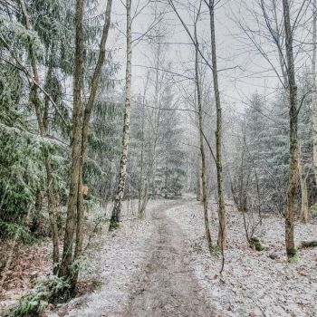 Temperatursturz, Schneeschauer und Graupelgewitter