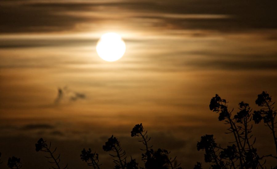 Der November dümpelt mit Sonne, Wolken und Nebel vor sich hin