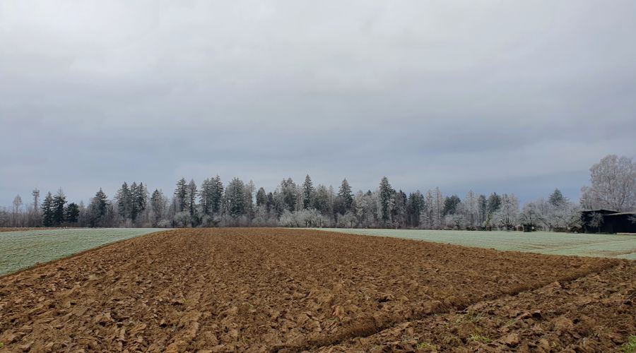 Das ruhige und zu Nebel neigende Januarwetter endet in der zweiten Wochenhälfte