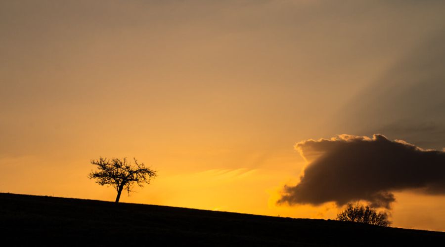 Ein zu Nebel und Hochnebel neigendes Dezemberwetter über dem Norden mit mehr sonnigen Anteilen über dem Süden