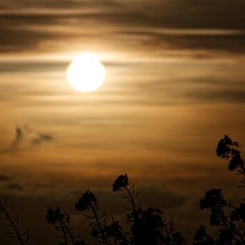 Der November dümpelt mit Sonne, Wolken und Nebel vor sich hin