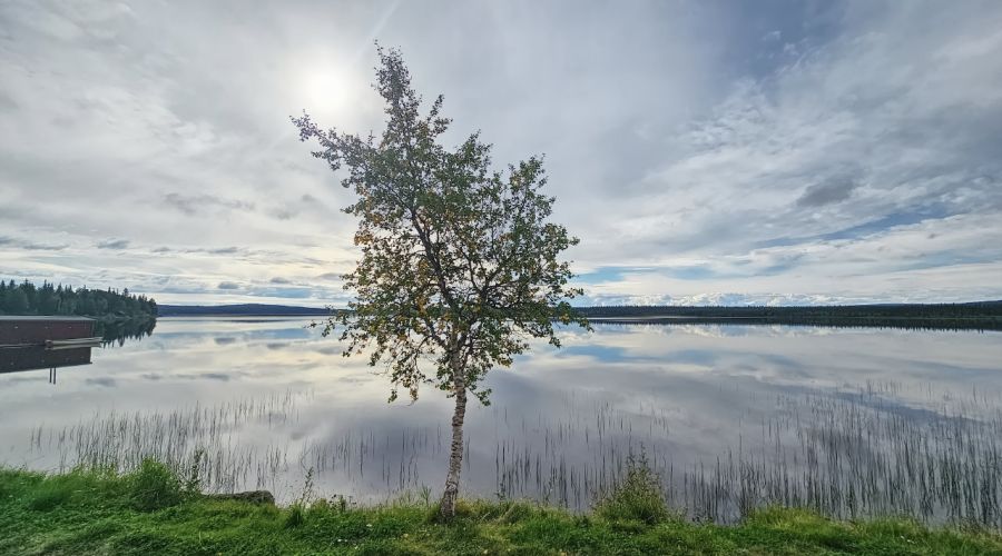 Der Polarwirbel in Unruhe - Vollherbst über Deutschland?