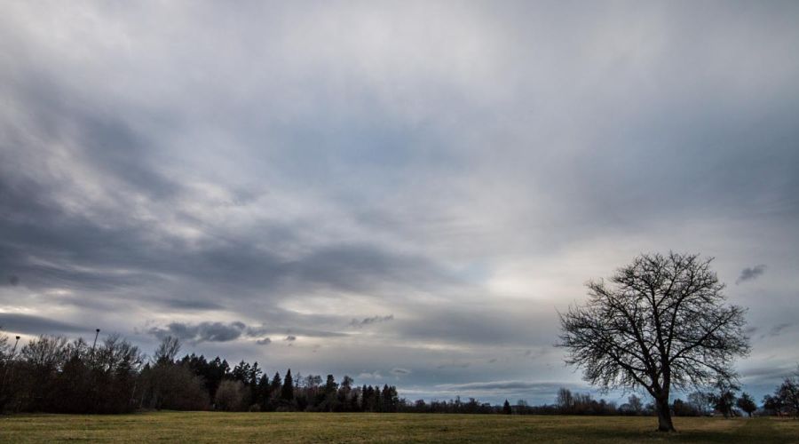 Das Wetter im März wird zunehmend unbeständiger