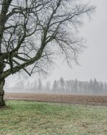 Turbulentes Wetter Ostern 2024 - Schnee- und Graupelschauer statt Frühlingsluft?