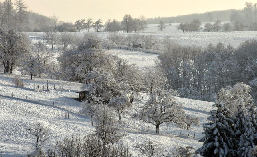 Weiße Weihnachten sind über dem Süden am wahrscheinlichsten