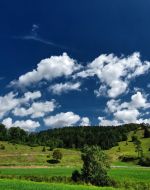 Ein heißer und trockener, oder ein durchwachsener Sommer 2025?