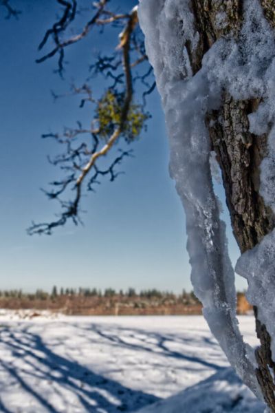 images/wetterbilder/januar/wetter-januar-schnee-winter-schneefall-baum-wiese-himmel-frost.jpg#joomlaImage://local-images/wetterbilder/januar/wetter-januar-schnee-winter-schneefall-baum-wiese-himmel-frost.jpg?width=1280&height=855