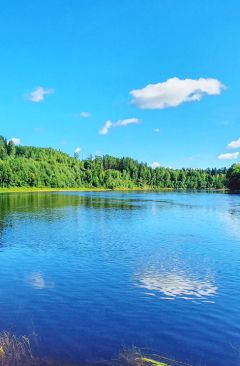 Wetter August 2024 - Daten und Fakten