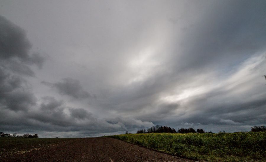 Wildes und mildes Weihnachtswetter