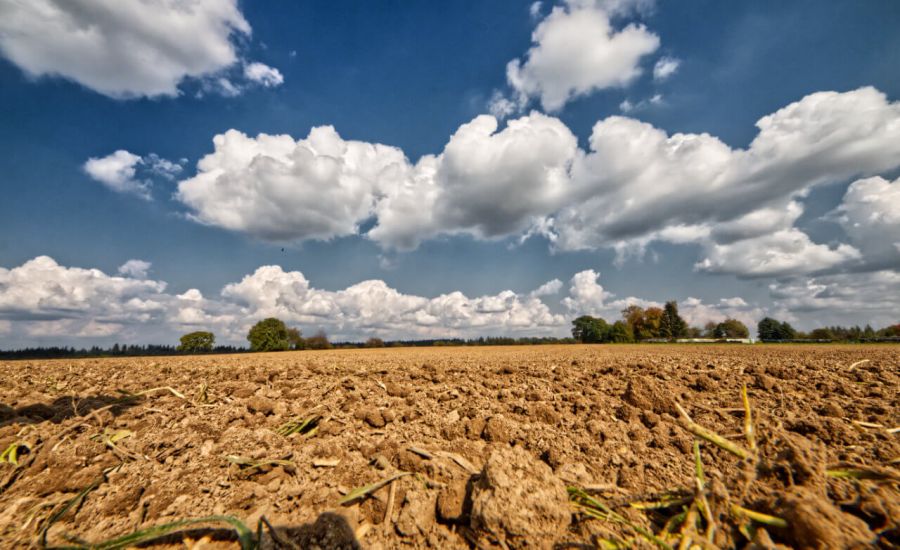 Das Wetter im September 2020 war lange Zeit viel zu warm und deutlich zu trocken