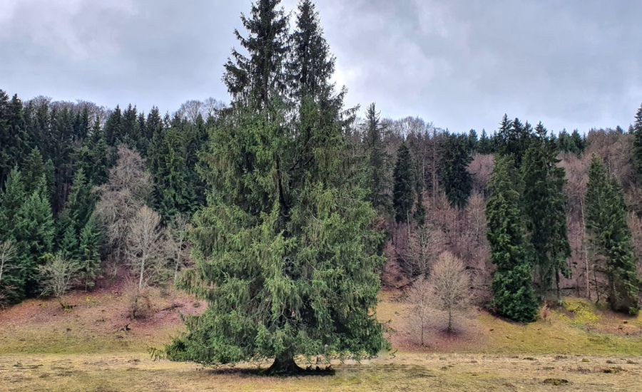 Unbeständiges und windiges Februar-Wetter