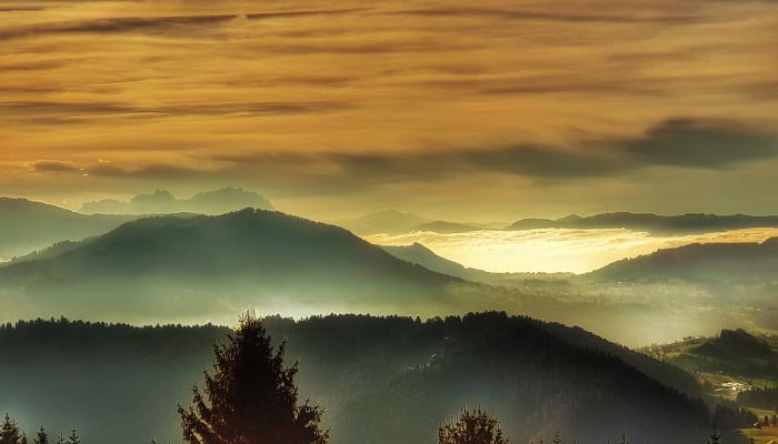 Ein deutlich zu warmer, zu trockener und häufig durch Nebel und Hochnebel geprägtes Wetter im Dezember 2024 © Martin Bloch