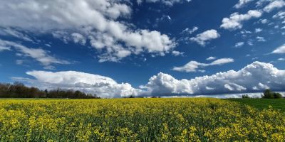 Sommerwetter Anfang Mai - doch bahnt sich ein Wetterwechsel samt Temperatursturz an