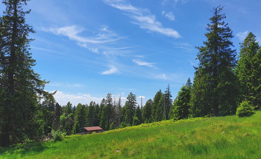 Eine hochsommerliche Wetterlage über Deutschland