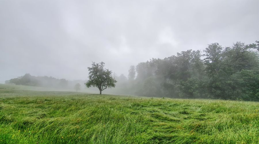 Unwetterartiger Regen inmitten des Hochsommers?