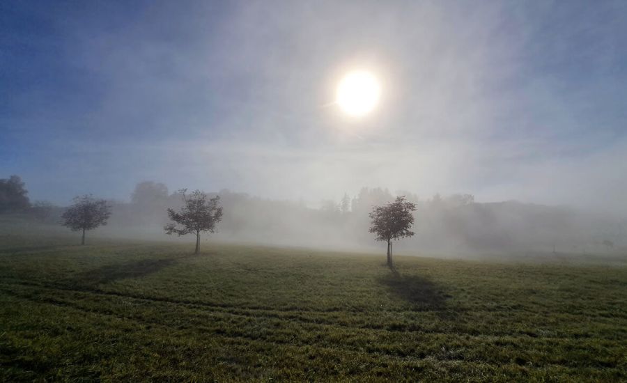 Sonne, Wolken und Nebel - ein Hoch setzt sich über Deutschland durch