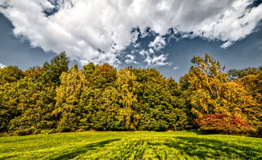 Der September 2020 zwischen Spätsommer und Frühherbst