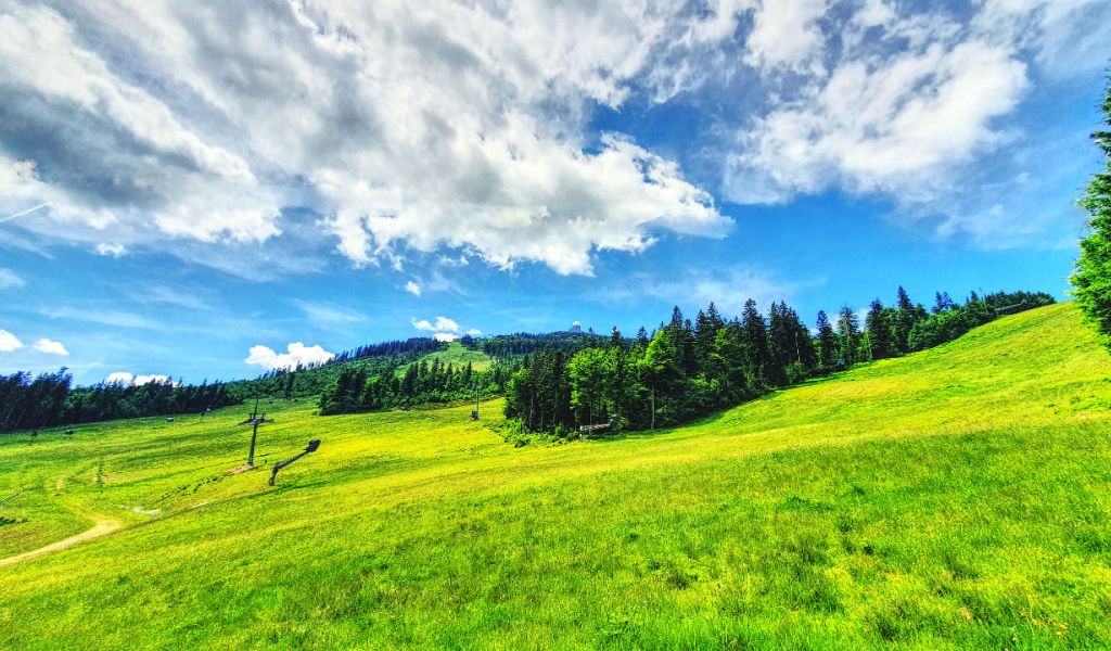 Wetter August