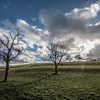 Das Wetter der kommenden Dezember-Tage wird deutlich zu warm