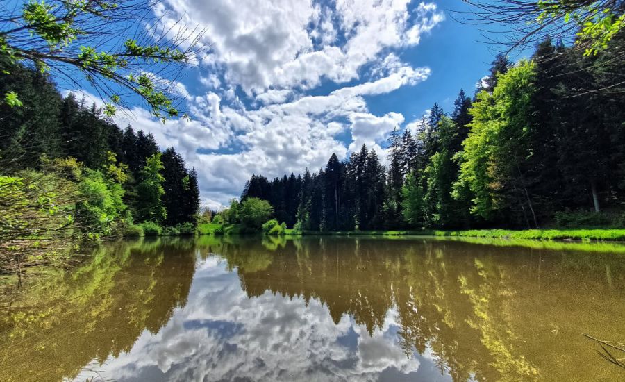 Sommerwetter mit Schauern und Gewittern