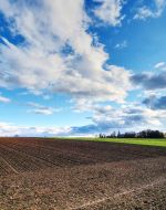 Sonnenschein und Trockenheit prägten das Aprilwetter 2025