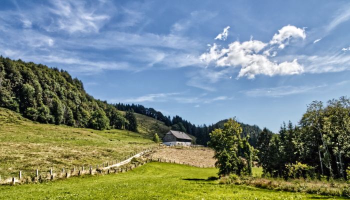 Das Wetter im August 2024 war extrem zu warm, deutlich zu trocken mit einen deutlichen Überschuss an Sonnenschein