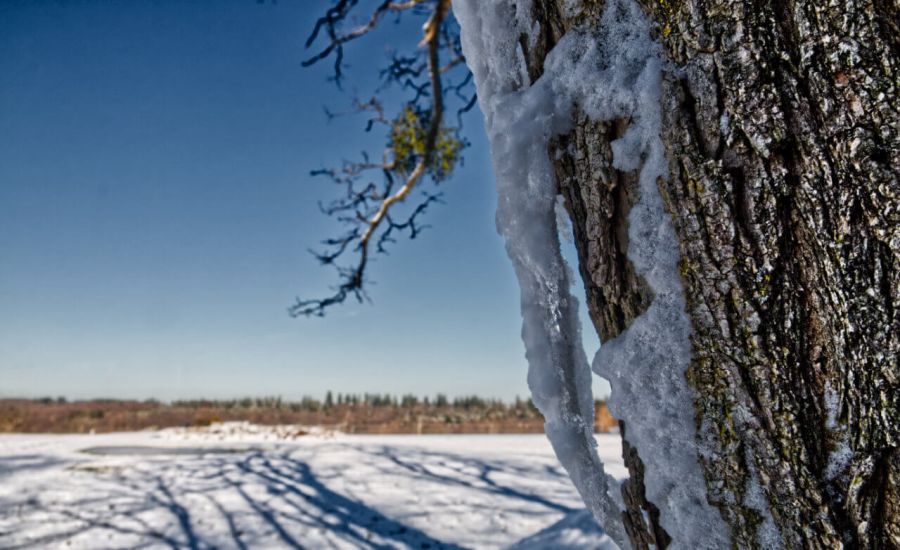 Einnachhaltiger Wintereinbruch oder ein Winterflop?