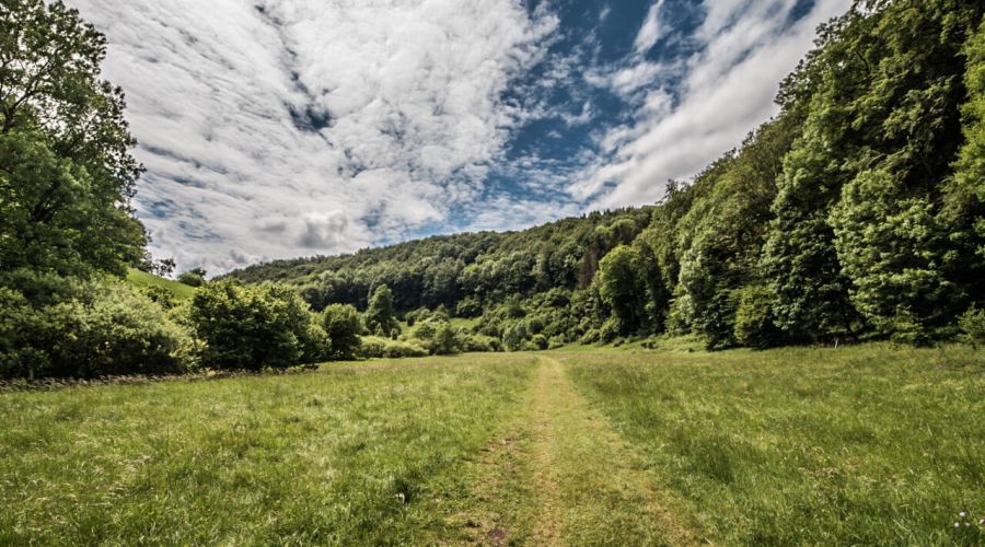 Die kommende Wetterentwicklung - zwischen Vollfrühling, Sommer und Hochsommer