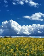 Schauer und Gewitter ziehen auf und sorgen für unbeständiges Maiwetter