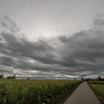 Ein Mix aus Sonne, Wolken und dichten Nebelfeldern und etwas Regen ist auch mit dabei