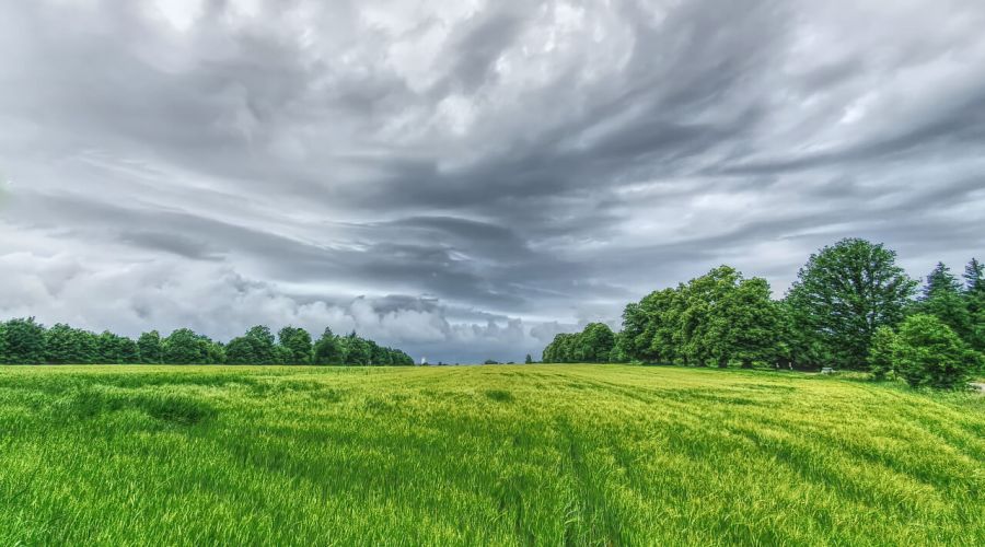 Ein durchwachsener und nur mäßig warmer Sommer?