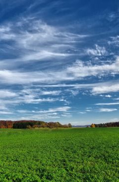 Wetter November 2011 - Daten und Fakten
