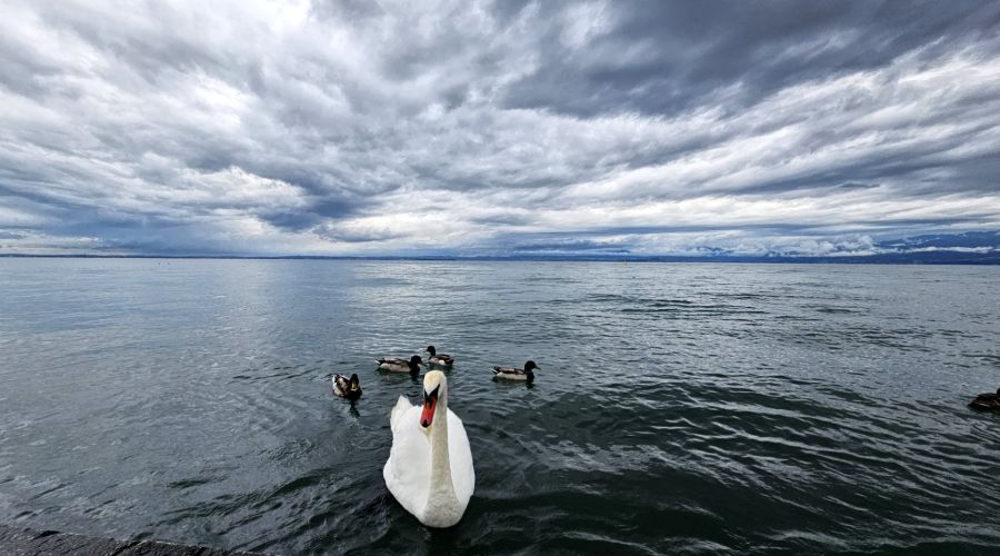 Windiges, kühles und unbeständiges Maiwetter