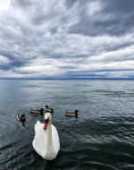 Windiges, kühles und unbeständiges Maiwetter