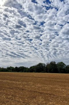 Wetter September 2015 - Daten und Fakten