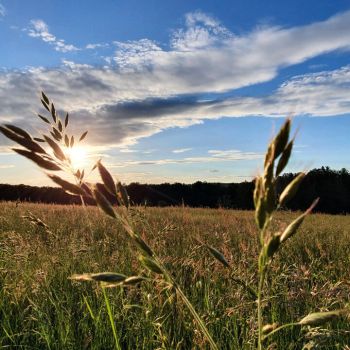 Ein sommerlich warmer Auftakt in den Mai