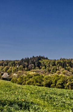 Wetter April 2020 - Daten und Fakten