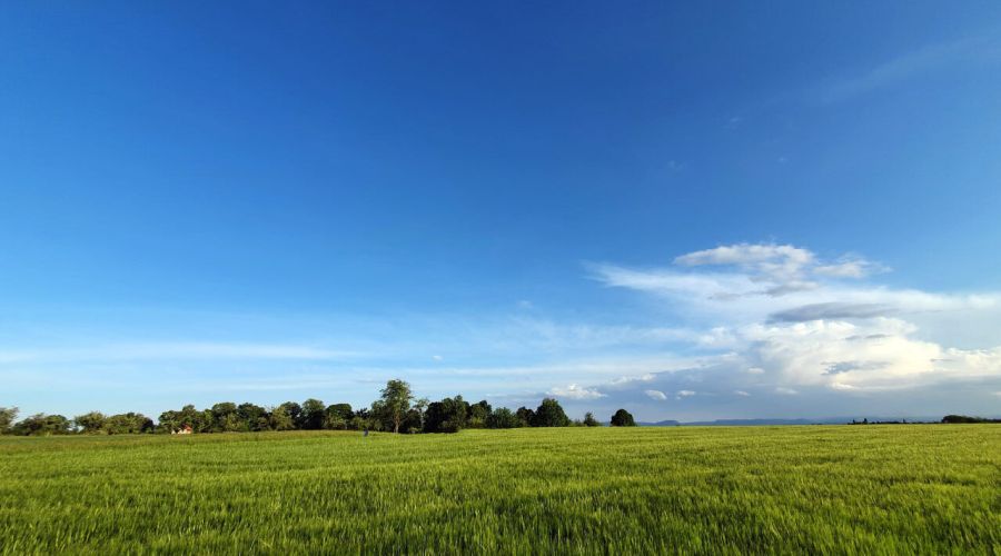 Wie wird der Sommer 2020? Ein Blick auf die Langfristprognosen
