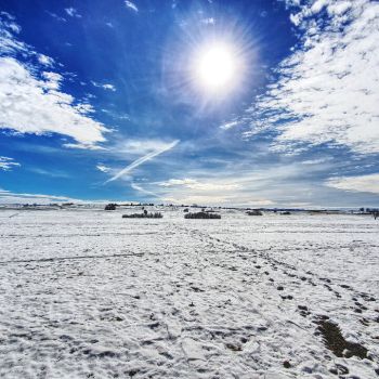 Spätwinter statt Frühling?