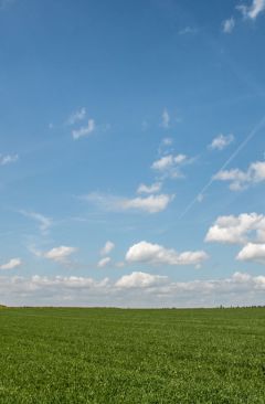 Wetter Pfingsten 2021