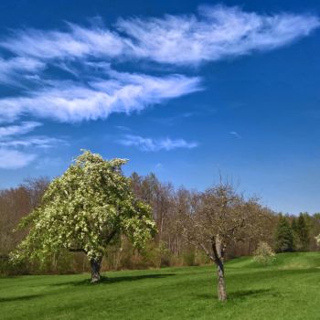 Der Frühling nach Ostern?